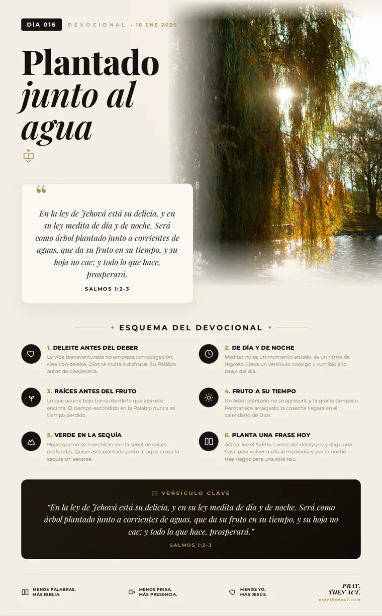 Día 016 — Plantado junto al agua