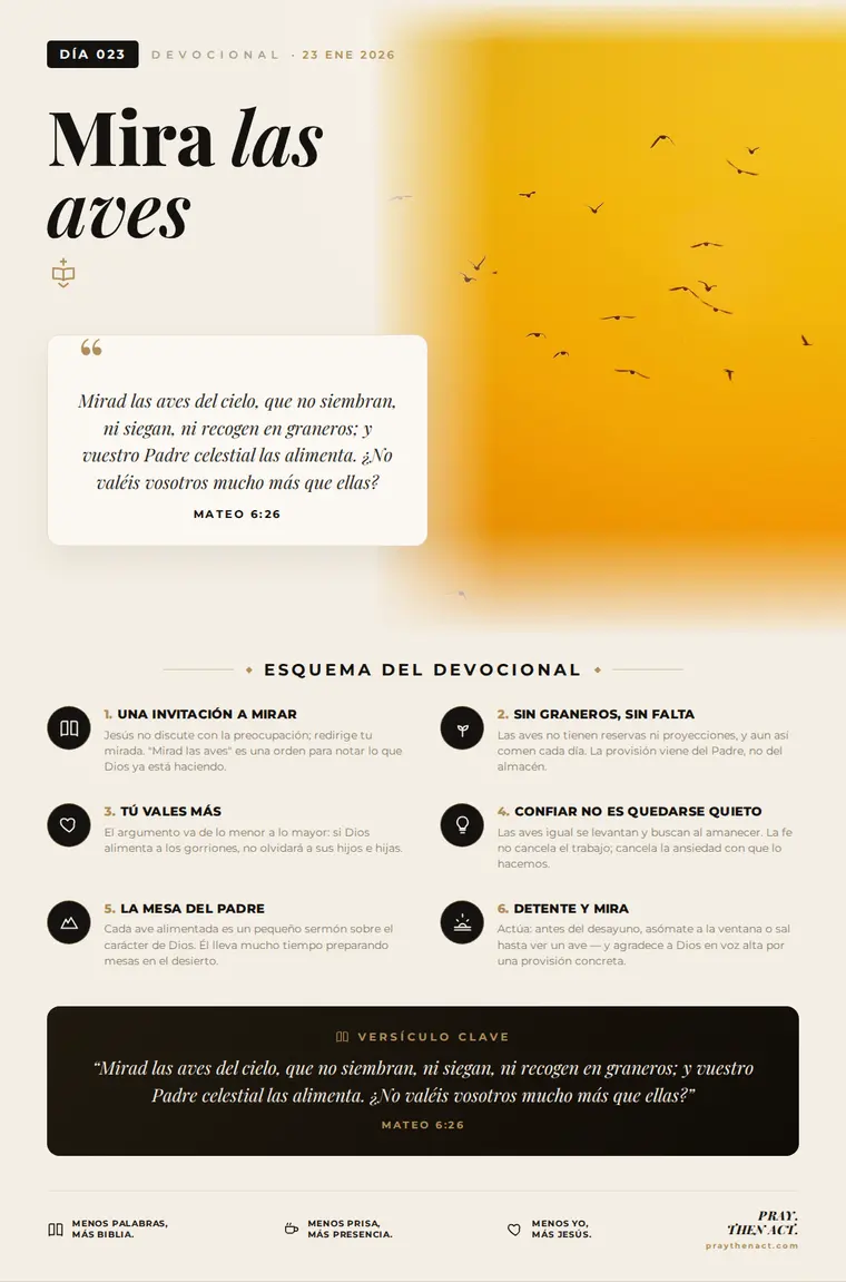 Día 023 — Mira las aves