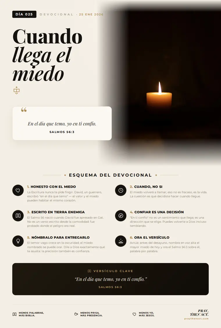 Día 025 — Cuando llega el miedo