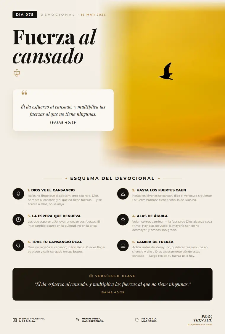 Día 075 — Fuerza al cansado