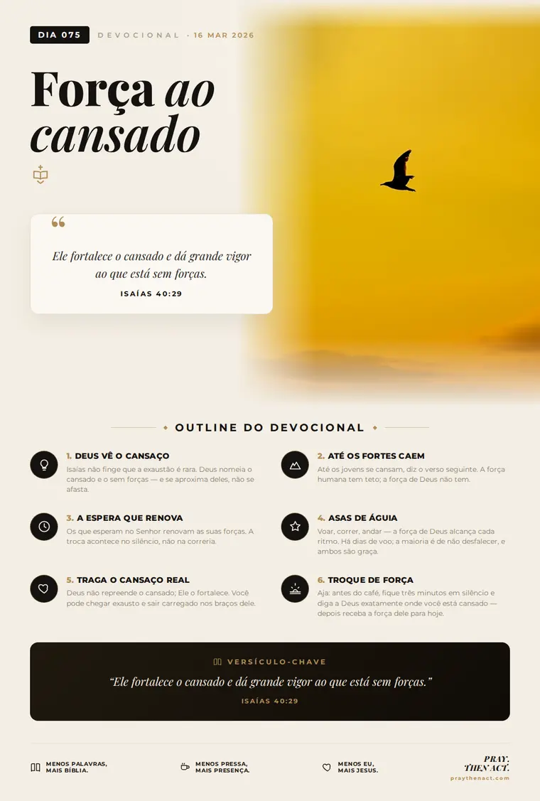 Dia 075 — Força ao cansado