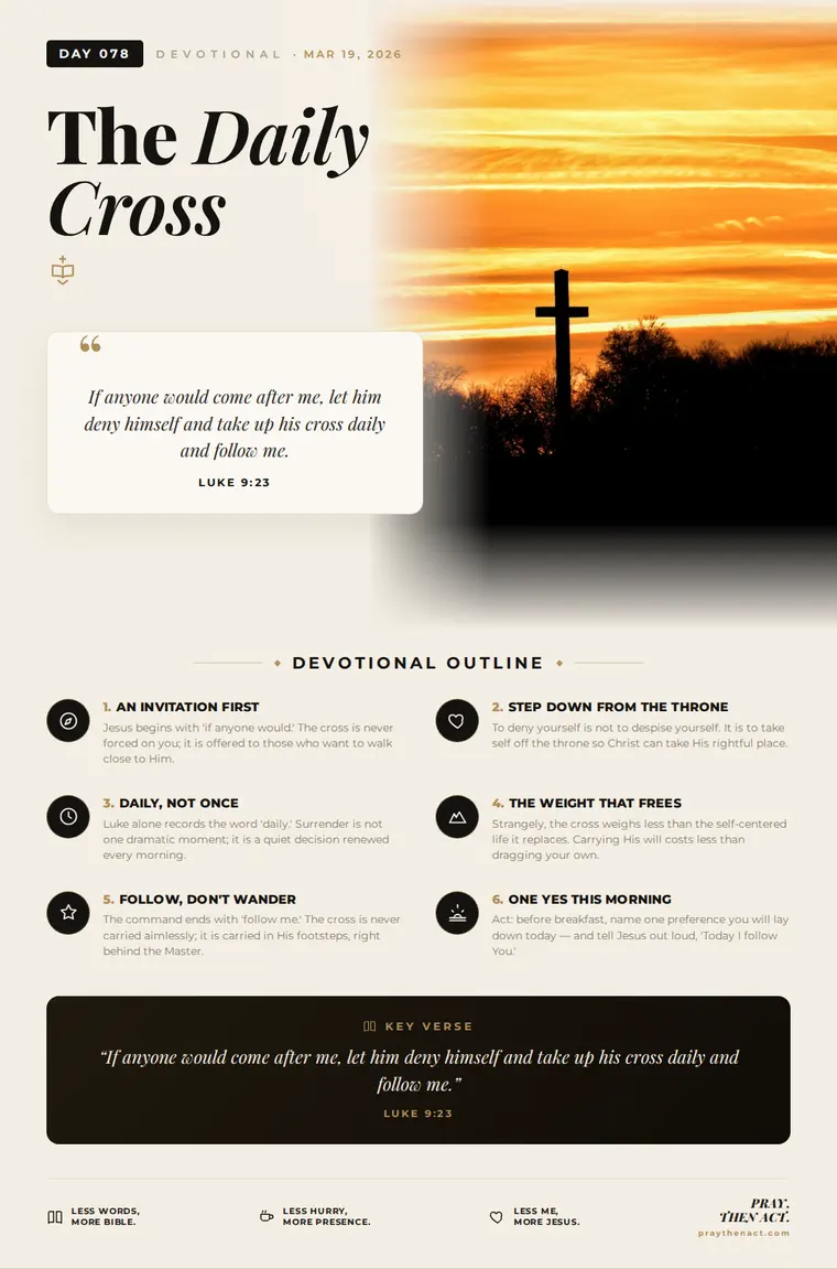 Day 078 — The Daily Cross