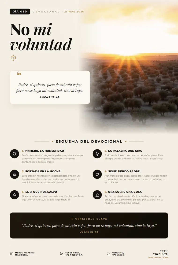 Día 080 — No mi voluntad