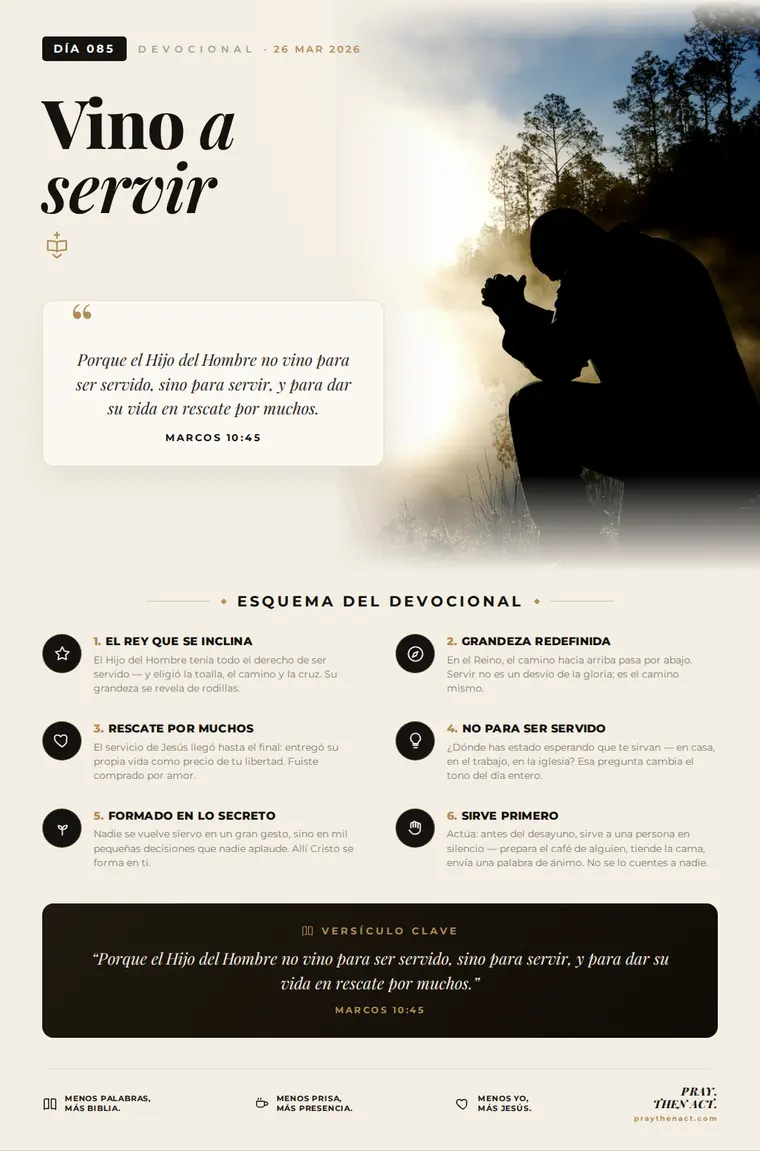 Día 085 — Vino a servir