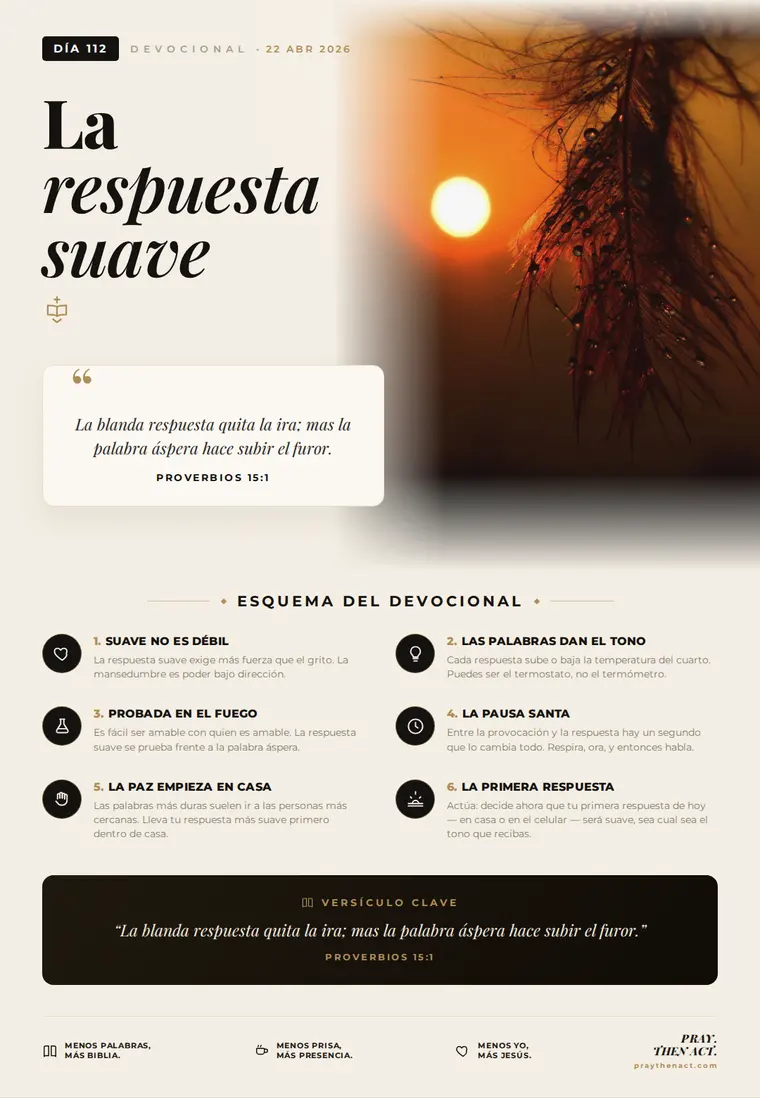 Día 112 — La respuesta suave