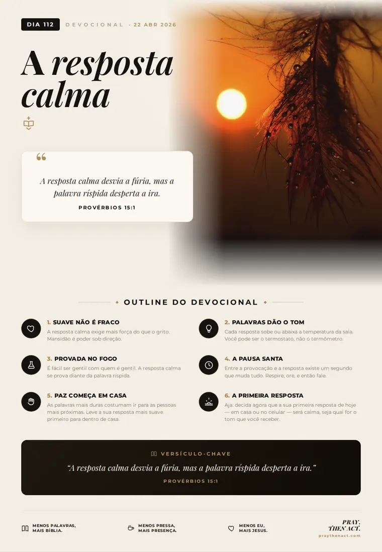 Dia 112 — A resposta calma