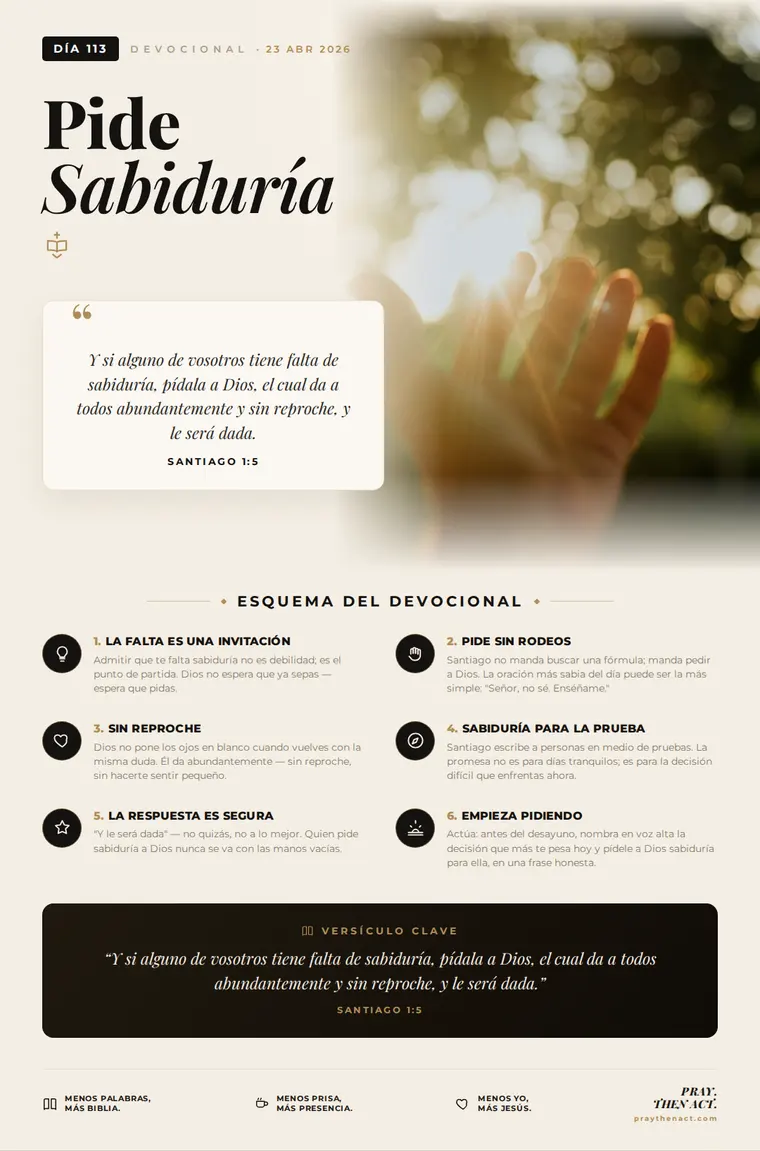 Día 113 — Pide Sabiduría