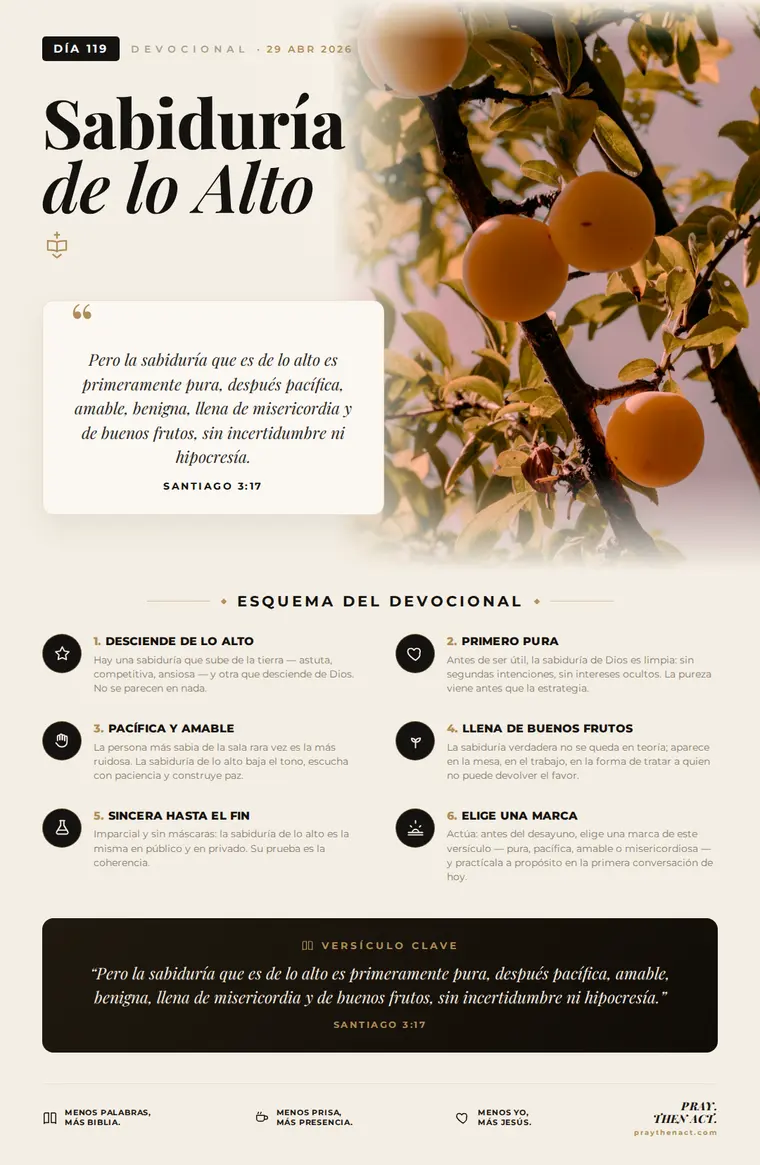 Día 119 — Sabiduría de lo Alto