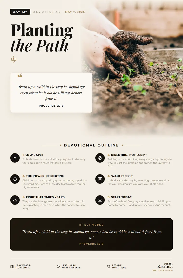 Day 127 — Planting the Path