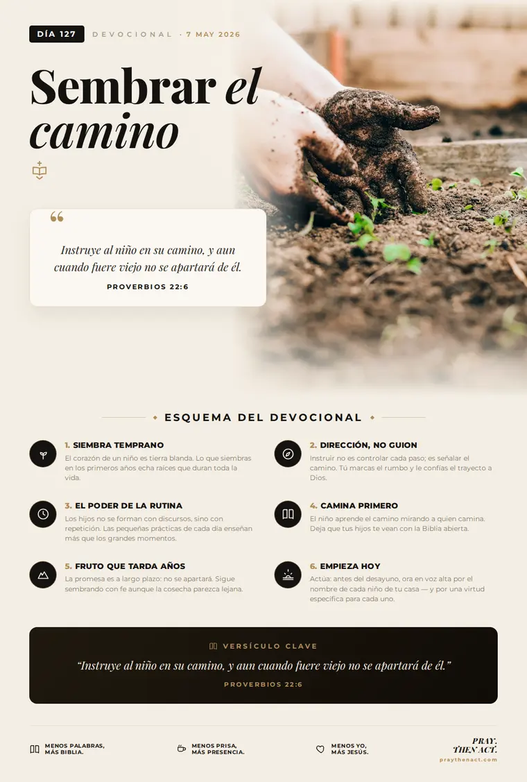 Día 127 — Sembrar el camino