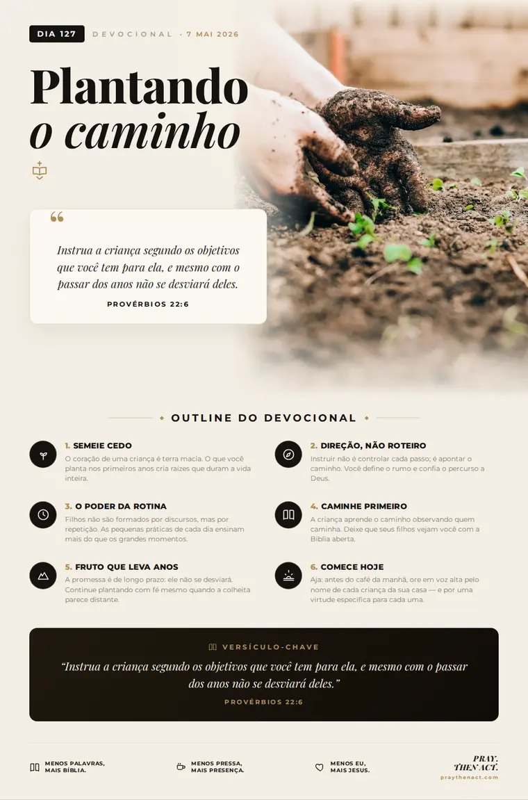 Dia 127 — Plantando o caminho