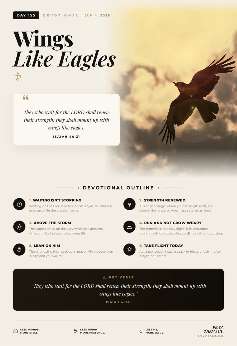 Day 155 — Wings Like Eagles