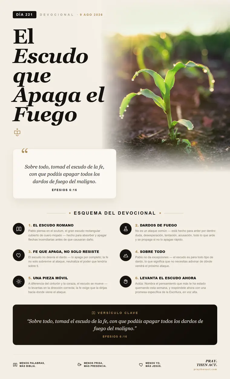 DÍA 221 — Una Respuesta Inmediata